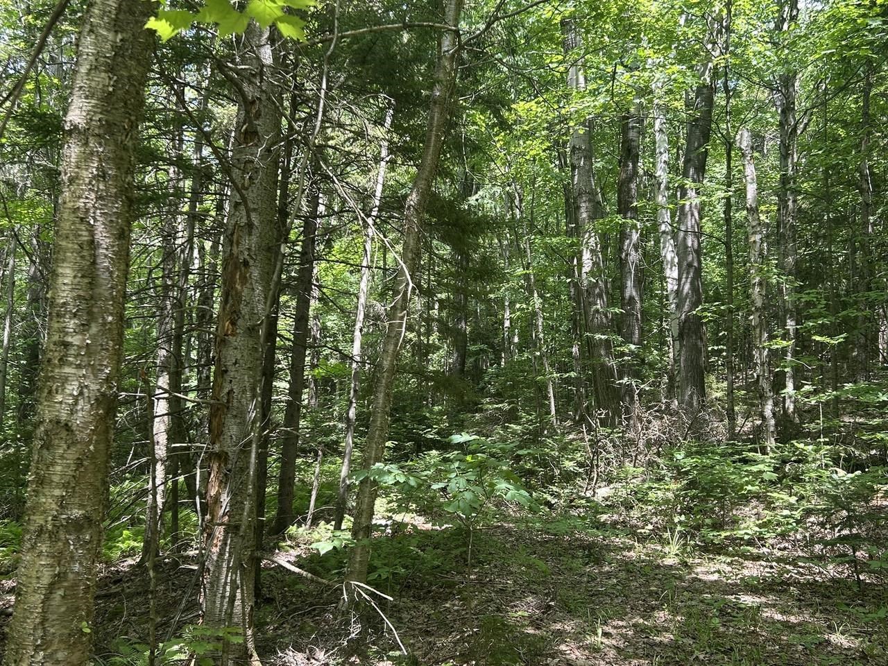 0 Rushford Valley Road Montgomery Center, VT 05471 - Photo 13 of 28