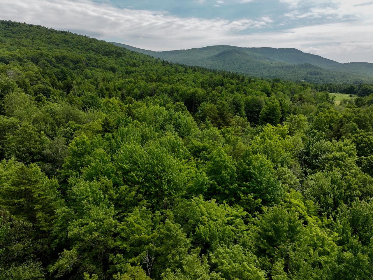 0 Rushford Valley Road Montgomery Center, VT 05471 - Photo 19 of 28