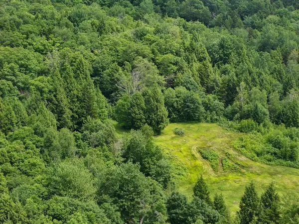 $199,000 | 0 Rushford Valley Road, Montgomery Center, VT 05471