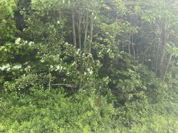 $199,000 | 0 Rushford Valley Road, Montgomery Center, VT 05471