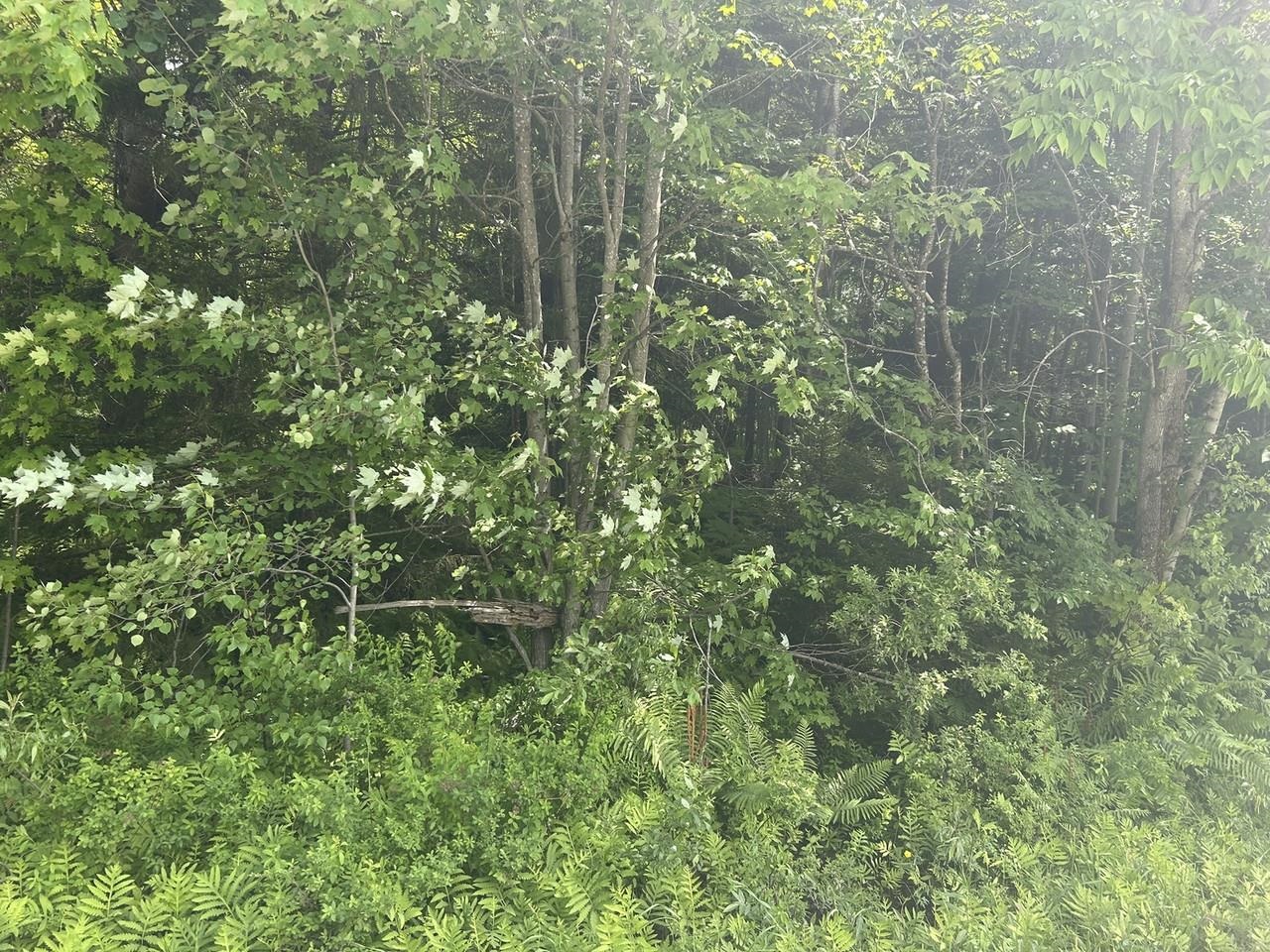 0 Rushford Valley Road Montgomery Center, VT 05471 - Photo 4 of 28