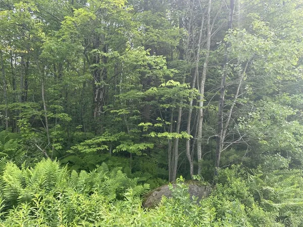 $199,000 | 0 Rushford Valley Road, Montgomery Center, VT 05471
