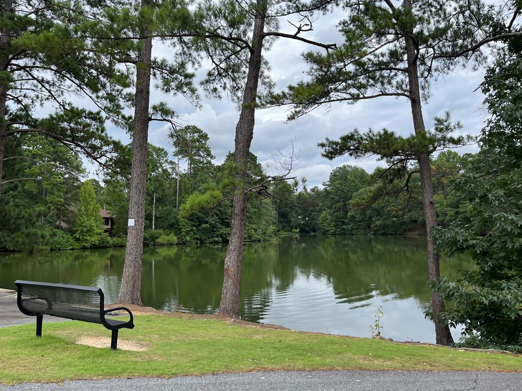 6813 Panstone Drive Columbus, GA 31909 - Photo 30 of 30 Community Lake