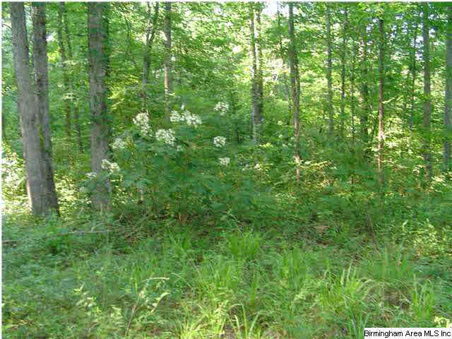 4400 Springbrook Lane, Unit X Mount Olive, AL 35117 - Photo 1 of 3