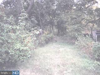 707 Briarcliff Road Upper Darby, PA 19082 - Photo 6 of 6