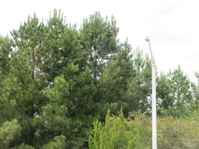 $350,000 | 4826 Endeavor Court, Milton, FL 32570