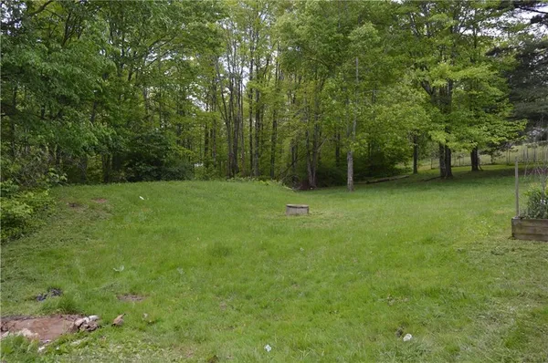 a view of a green field with trees in the background