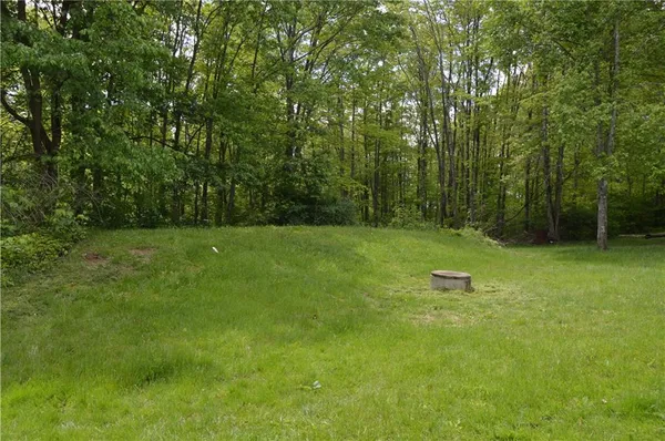 a view of a green field with trees