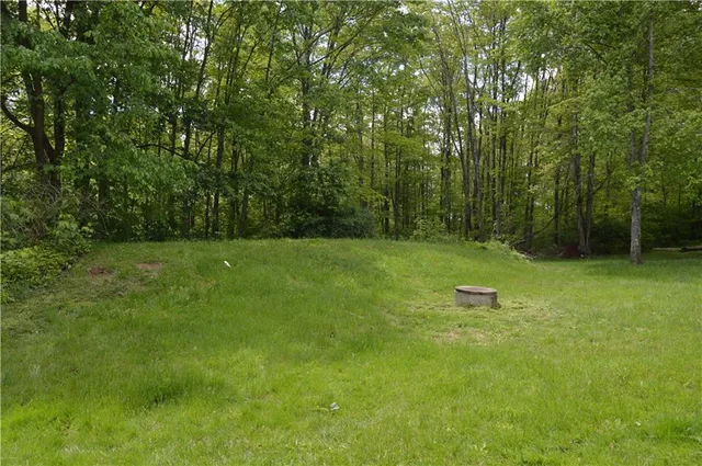 a view of a green field with trees