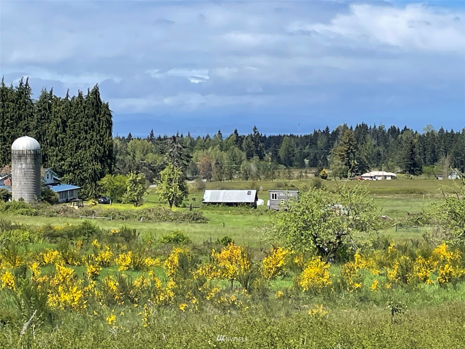206 Laird Road Port Angeles, WA 98363 - Photo 5 of 40 Gallery Image 5
