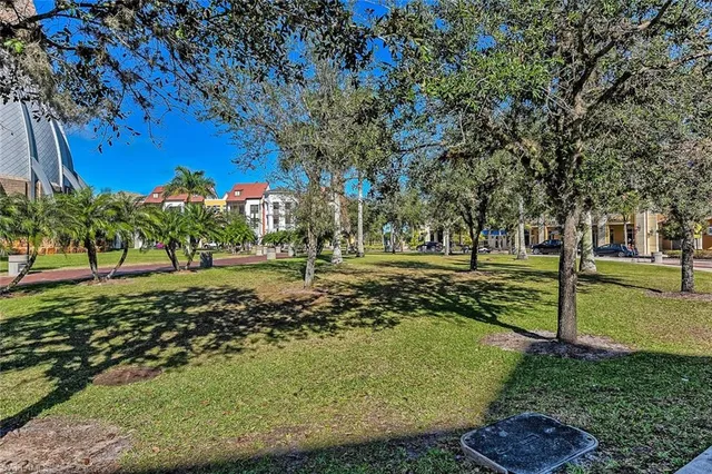 a view of a park with large trees