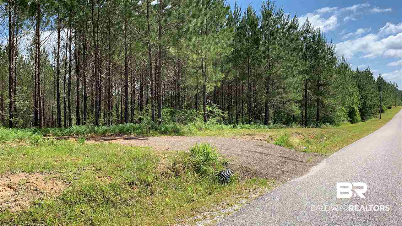 31810 Happy Hollow Road Robertsdale, AL 36567 - Photo 5 of 7