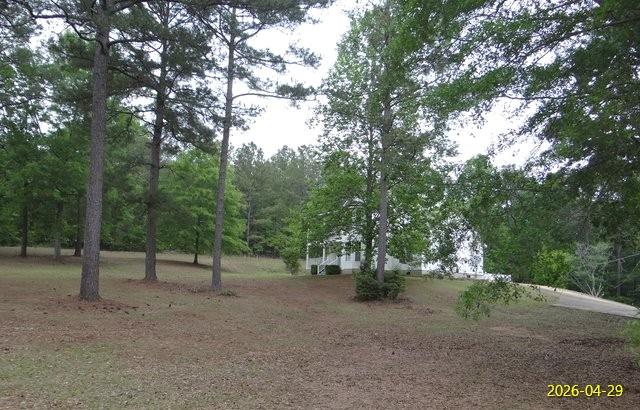 144 Old Sardis Church Road Clayton, AL 36016 - Photo 3 of 34 a view of outdoor space with trees