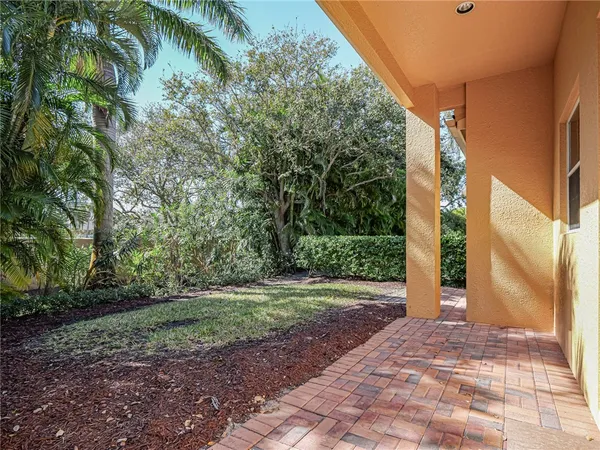 a view of a backyard with large trees