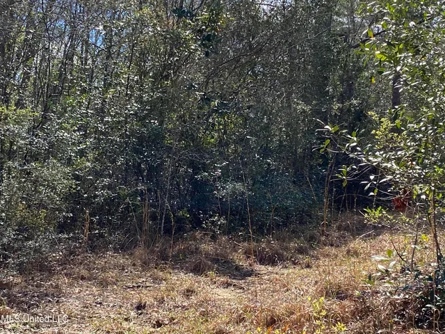$120,000 | Fairley Road, Vancleave, MS 39565