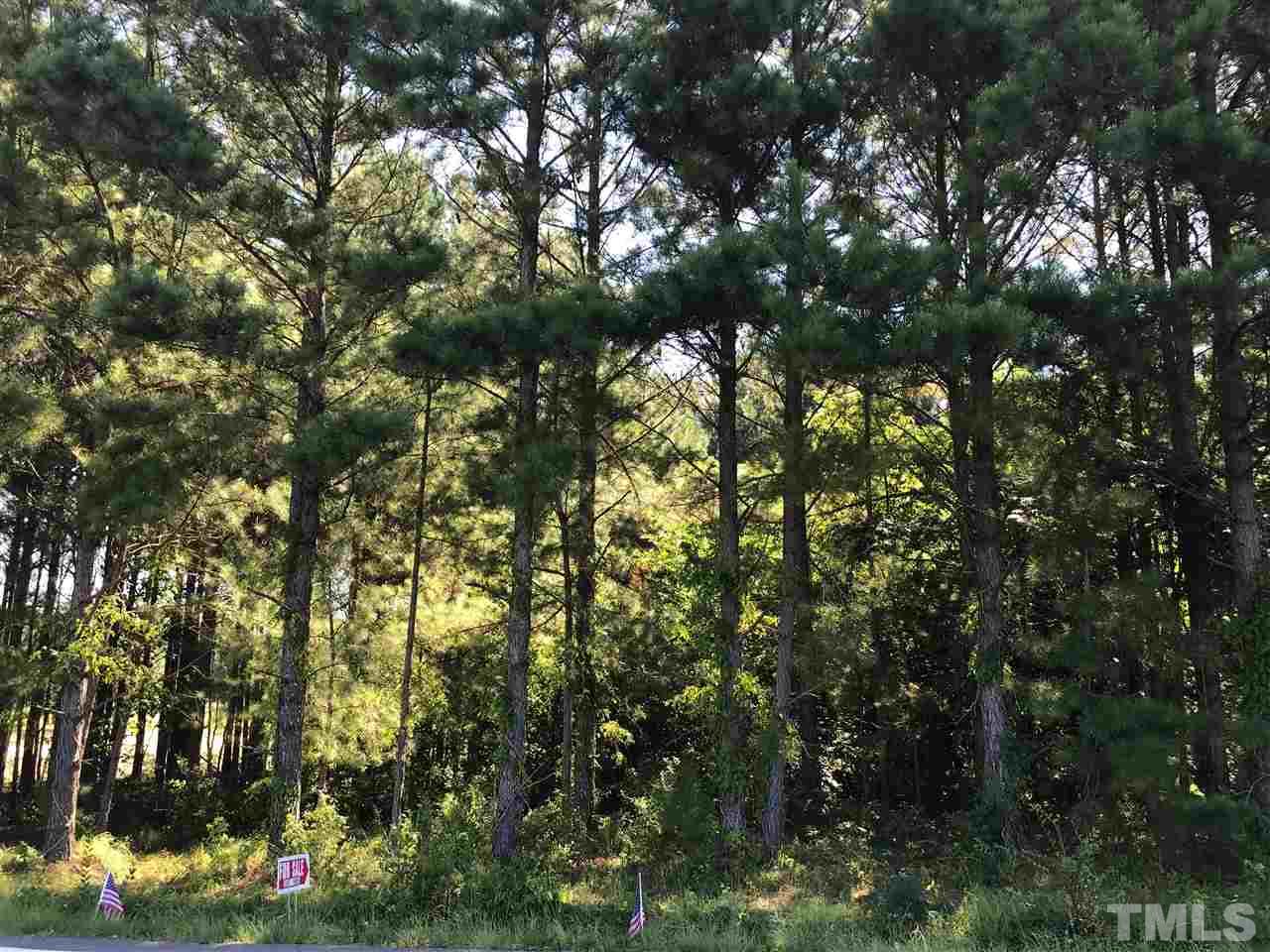 Baileys Crossroads Road Benson, NC 27504 - Photo 3 of 3