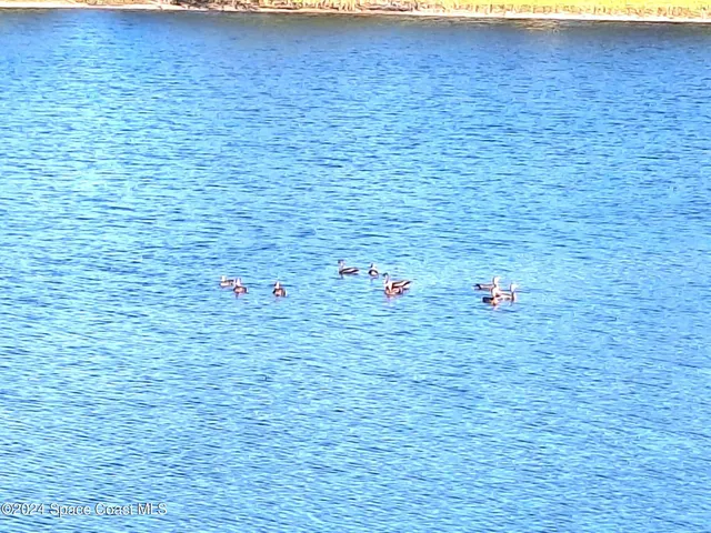 a view of an ocean with city