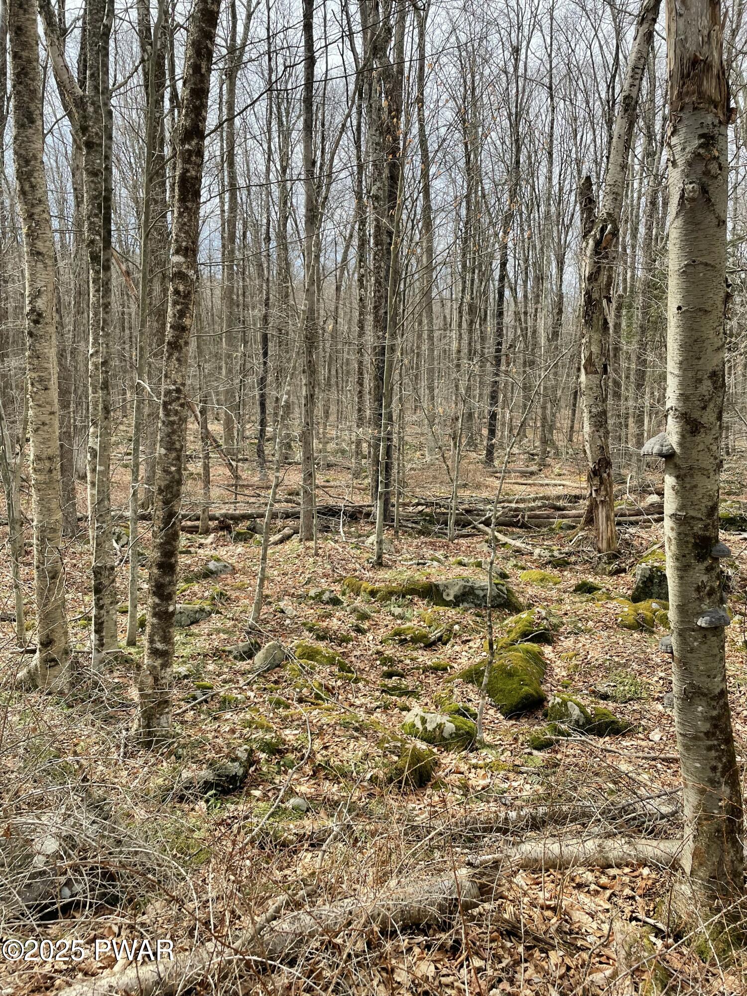 Lot 270 Radcliff Lane Bushkill, PA 18324 - Photo 6 of 10