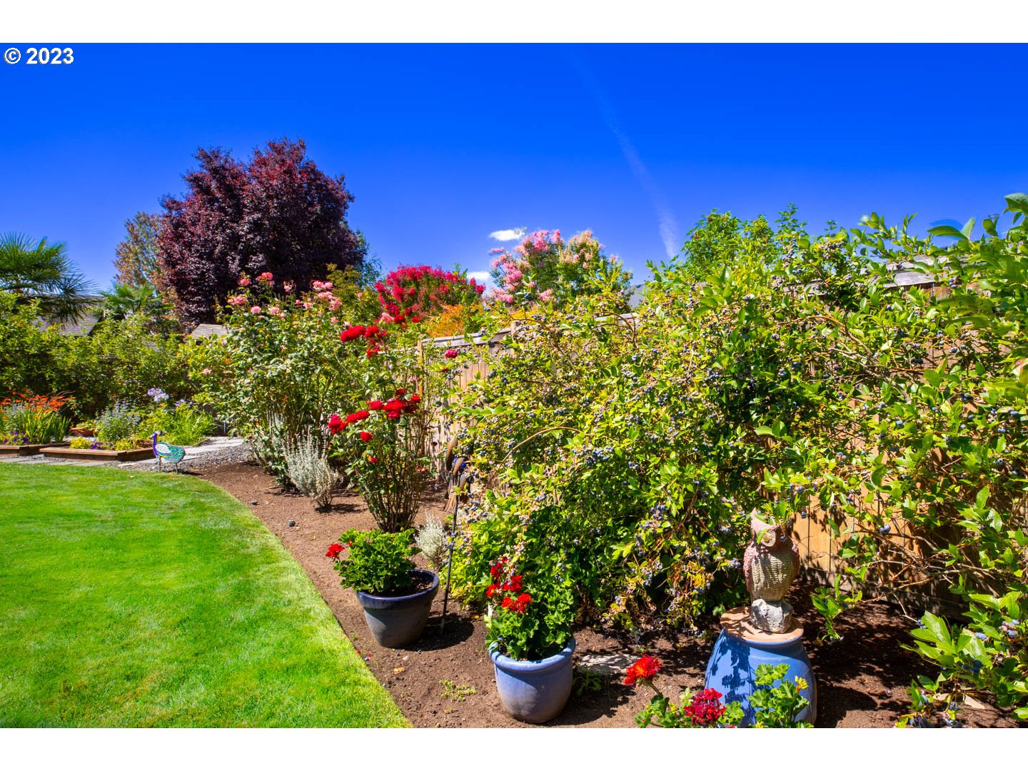 836 Old Orchard Lane Springfield, OR 97477 - Photo 26 of 29 a view of a bunch of flowers