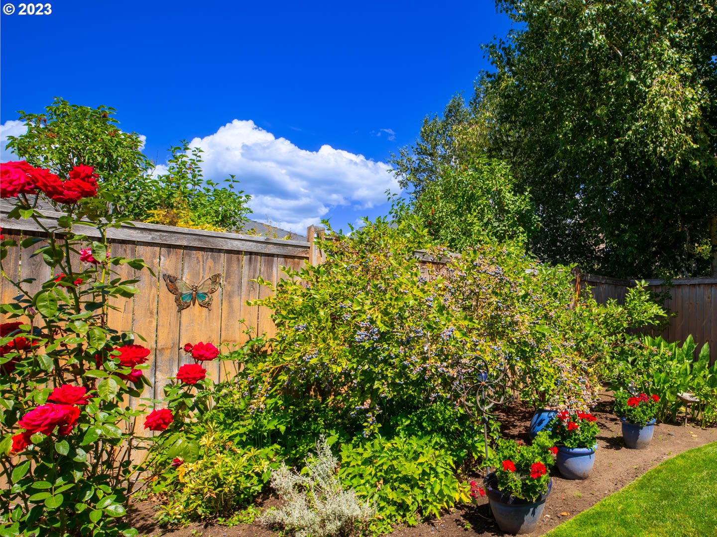 836 Old Orchard Lane Springfield, OR 97477 - Photo 27 of 29 a view of a flower arrangement in backyard