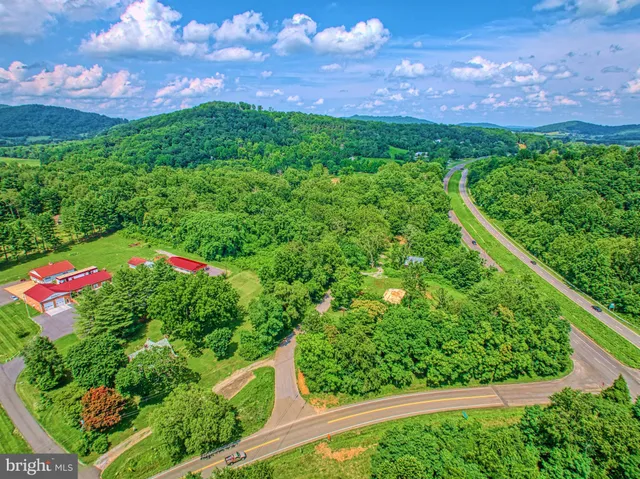 a view of a yard with a tree