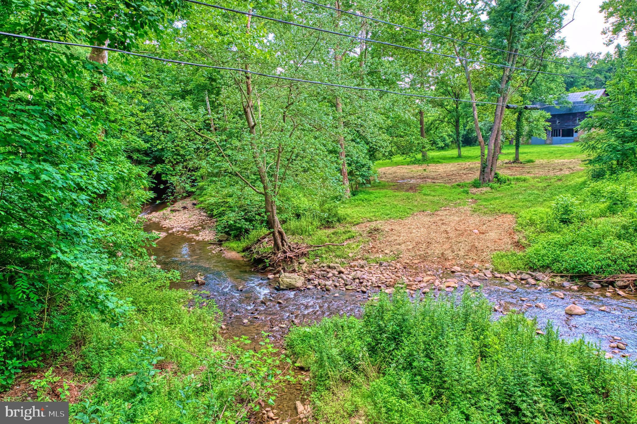 18 Old Mill Road Washington, VA 22747 - Photo 3 of 27 a view of a park with large trees