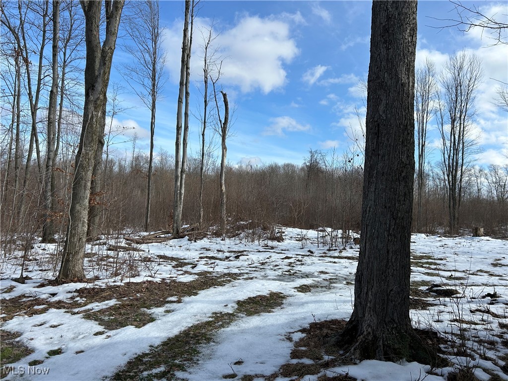Vl Munson Hill Road Ashtabula, OH 44004 - Photo 10 of 16 View of snowy landscape