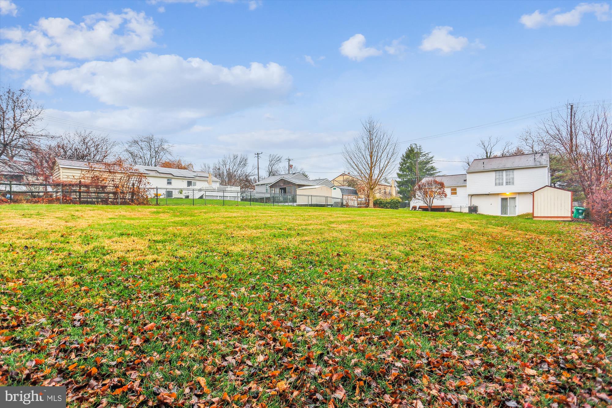 Back Yard