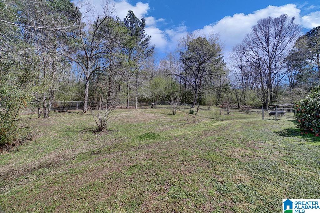 6575 Warrior River Road Bessemer, AL 35023 - Photo 19 of 23