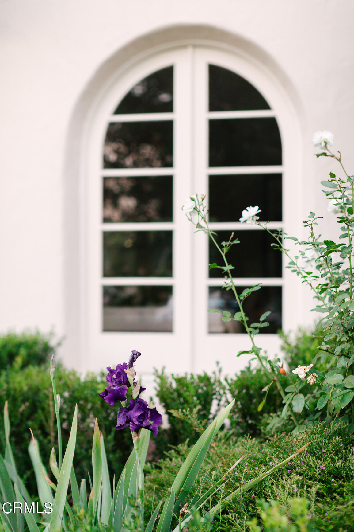 735 Holladay Road Pasadena, CA 91106 - Photo 67 of 72 171_DAMORE_735_Holladay_MR