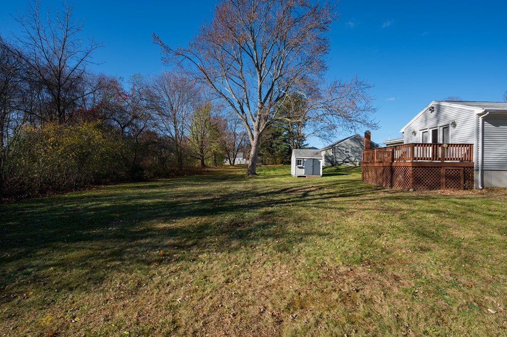31 Andersen Road Braintree, MA 02184 - Photo 35 of 36 a view of a park with large trees
