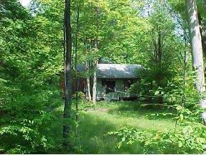 T594 Youngs Road Athens, PA 18810 - Photo 3 of 4