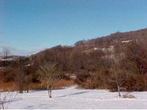 T594 Youngs Road Athens, PA 18810 - Photo 4 of 4