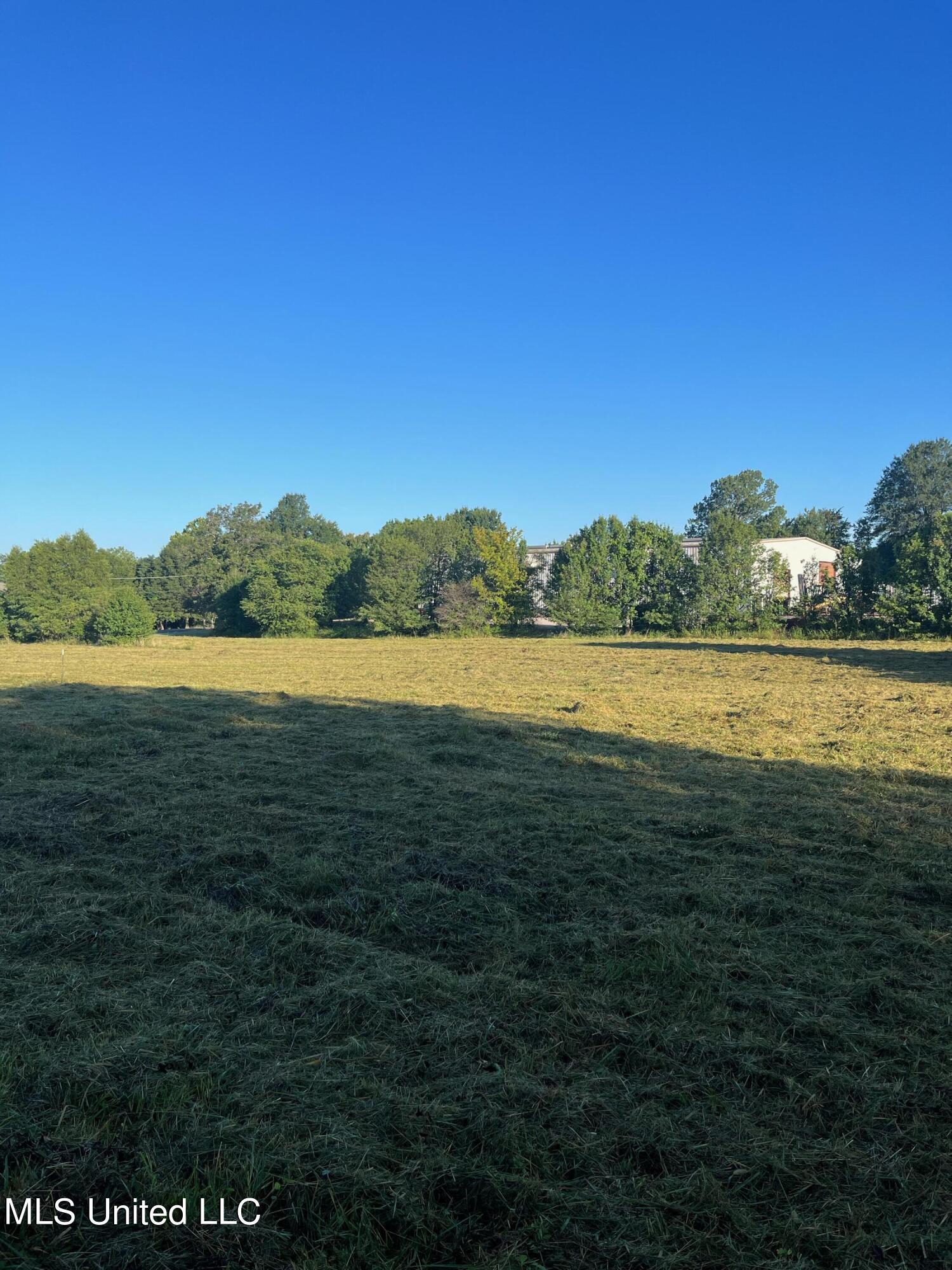 450 Vaiden Drive Hernando, MS 38632 - Photo 11 of 15 image3 (2)