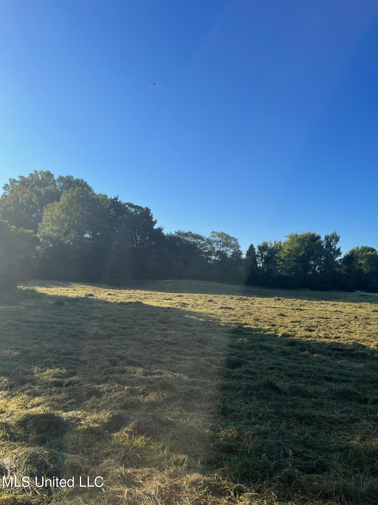 450 Vaiden Drive Hernando, MS 38632 - Photo 13 of 15 image3