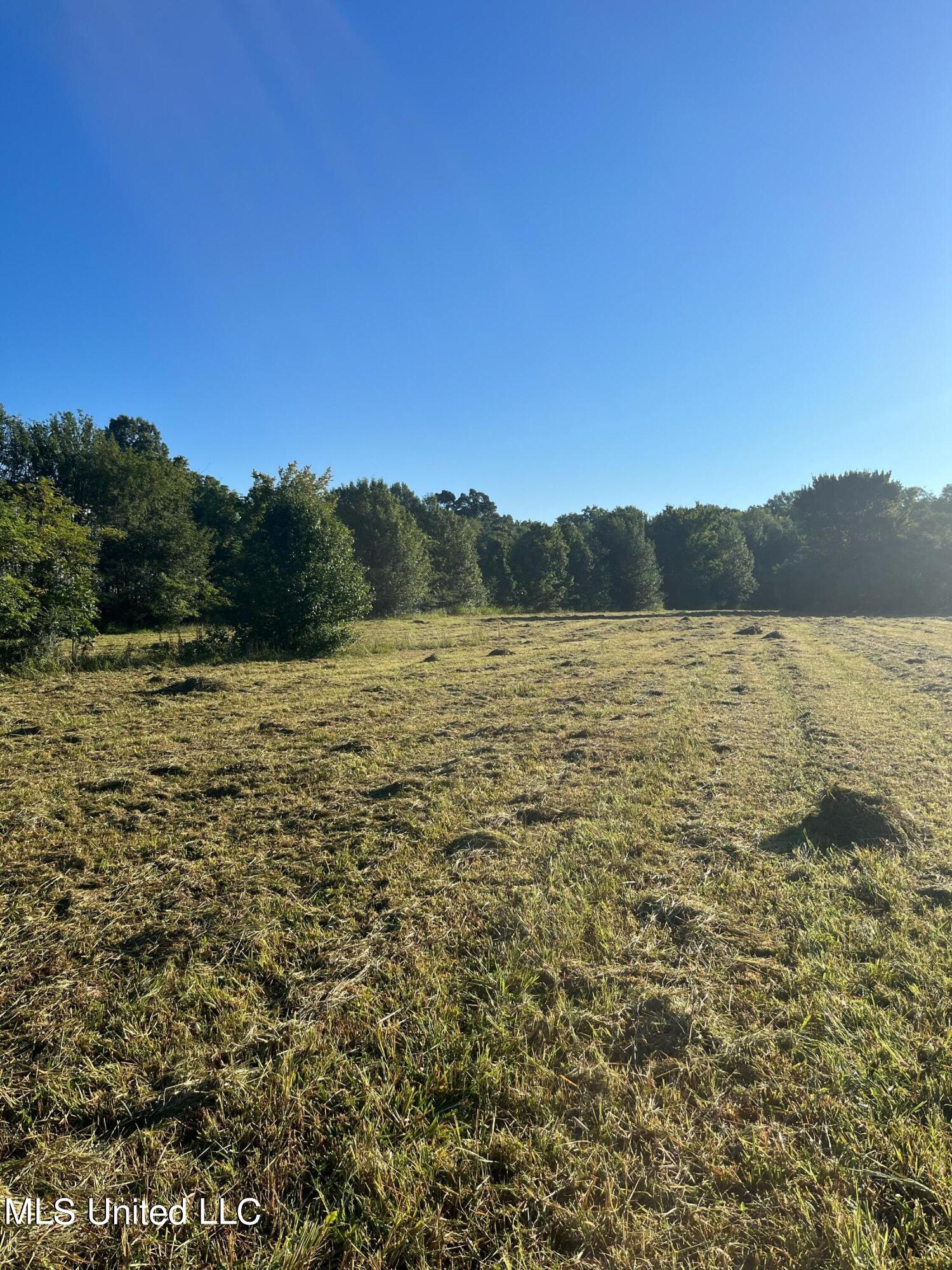 450 Vaiden Drive Hernando, MS 38632 - Photo 4 of 15 image0 (3)