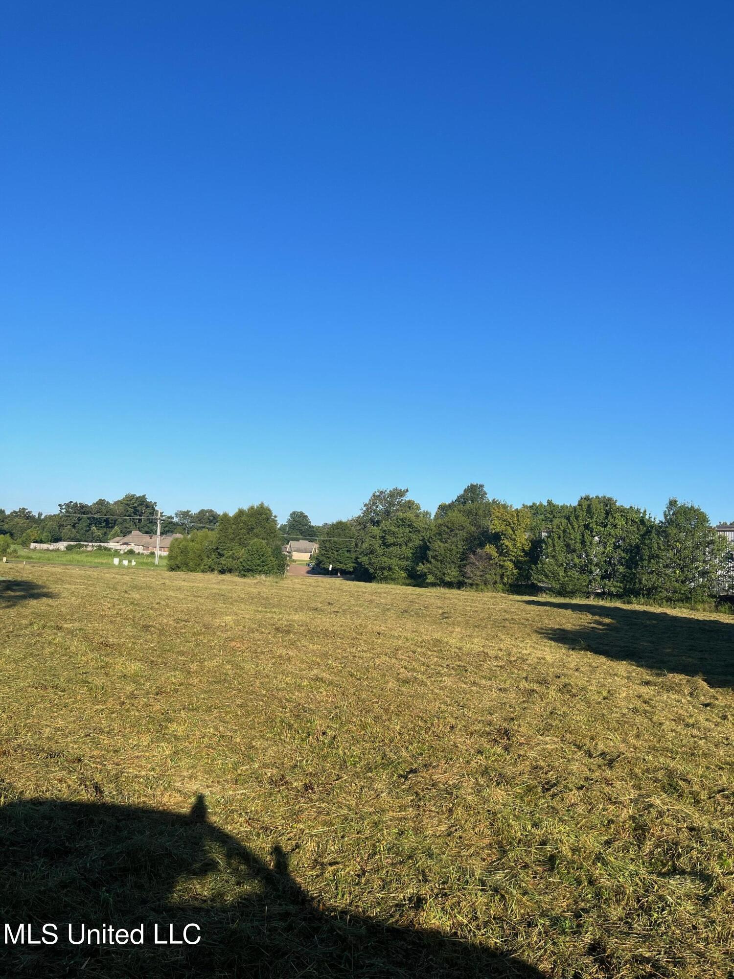 450 Vaiden Drive Hernando, MS 38632 - Photo 5 of 15 image0