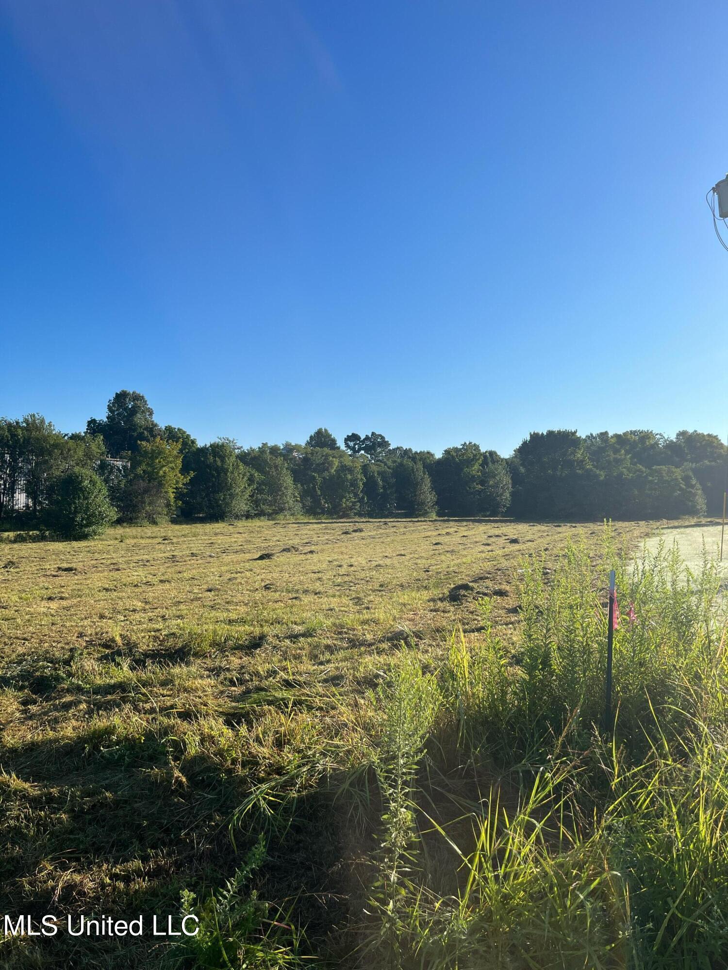 450 Vaiden Drive Hernando, MS 38632 - Photo 6 of 15 image1 (2)