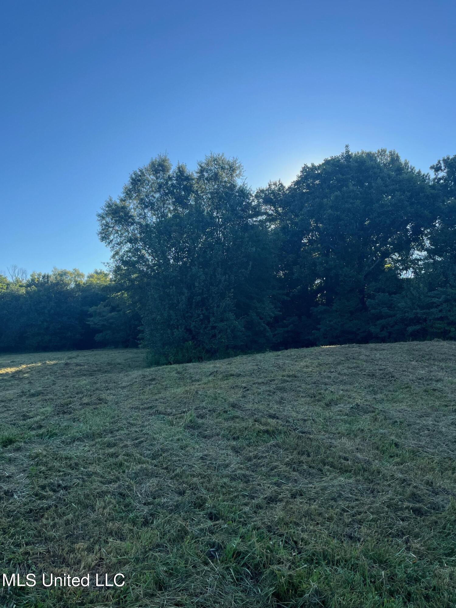 450 Vaiden Drive Hernando, MS 38632 - Photo 7 of 15 image1