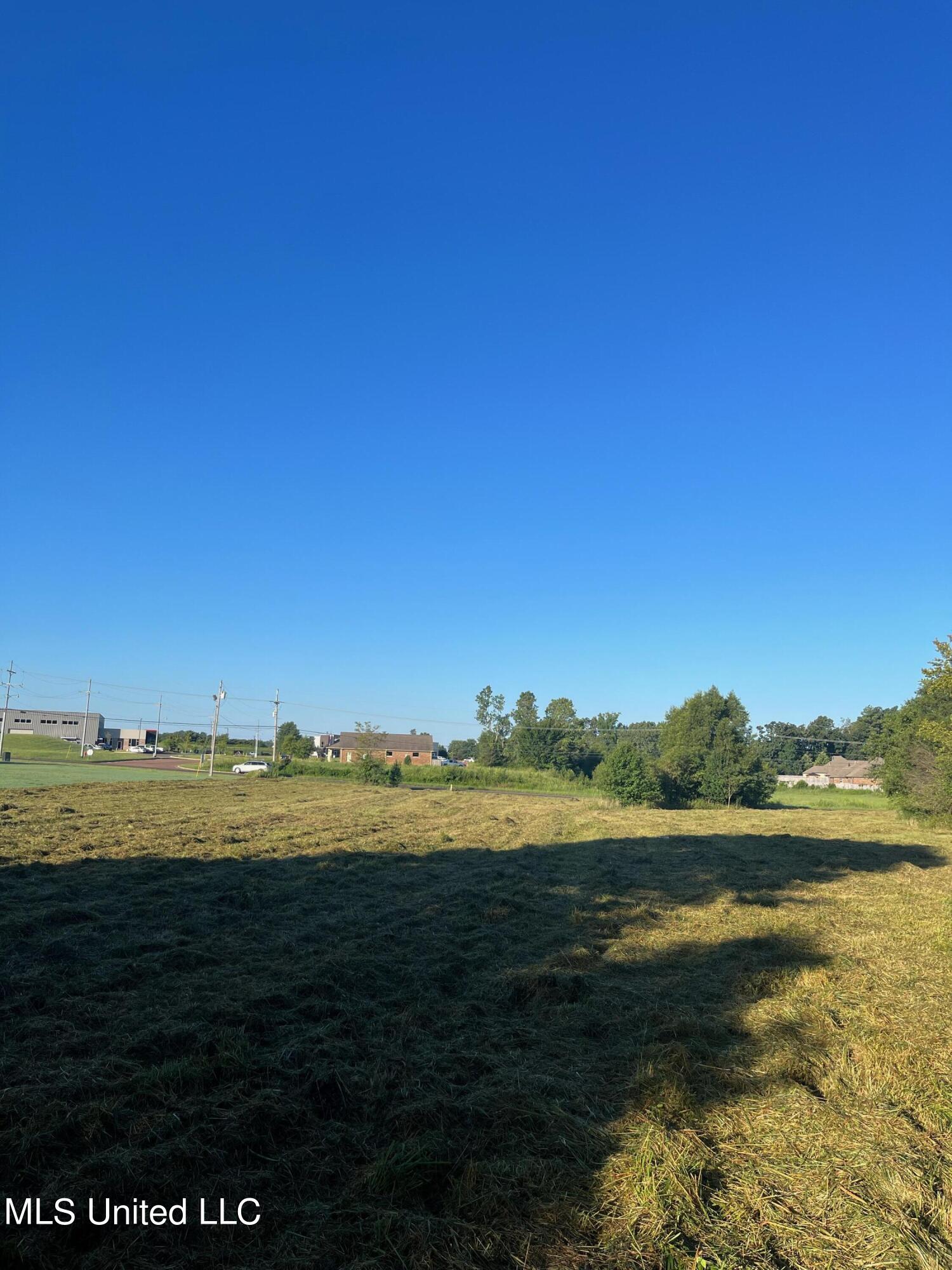 450 Vaiden Drive Hernando, MS 38632 - Photo 10 of 15 image2