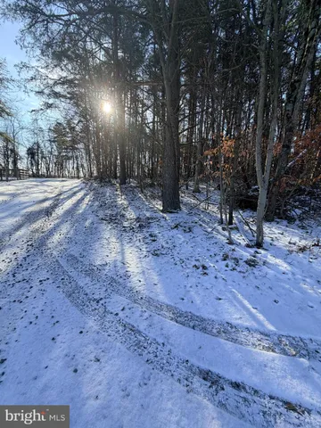a view of road with trees