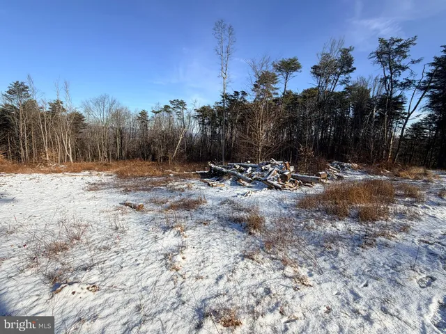 a view of a dry yard with trees
