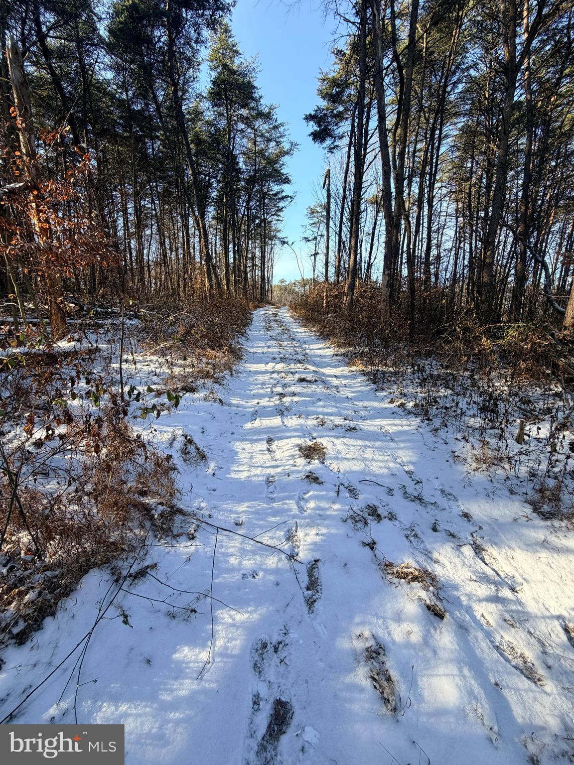 7360 Middle Ridge Road Newport, PA 17074 - Photo 4 of 10