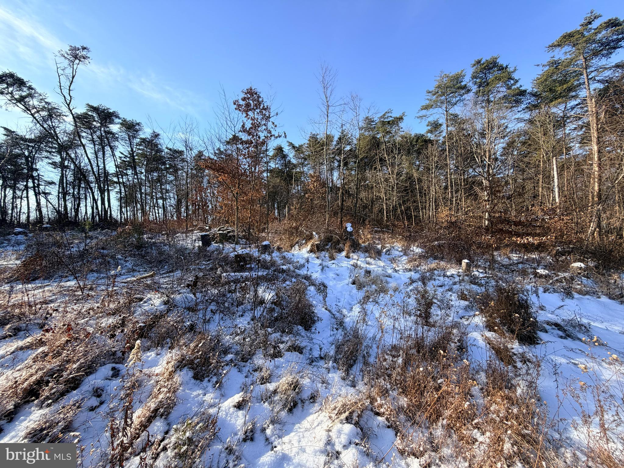 7360 Middle Ridge Road Newport, PA 17074 - Photo 6 of 10