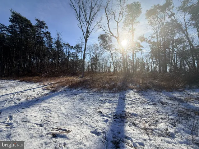 a view of a yard with trees