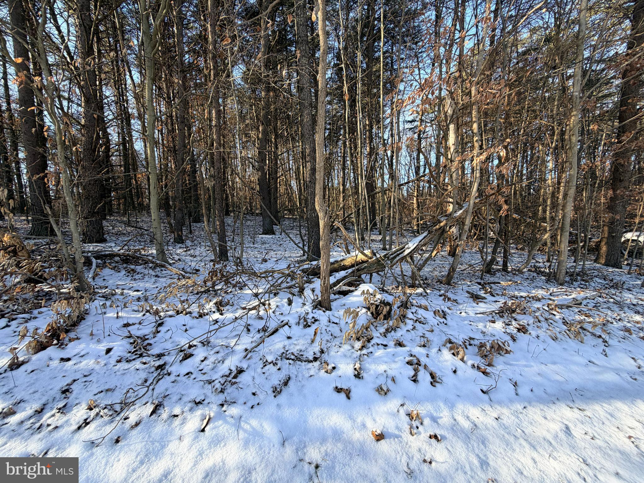 7360 Middle Ridge Road Newport, PA 17074 - Photo 8 of 10