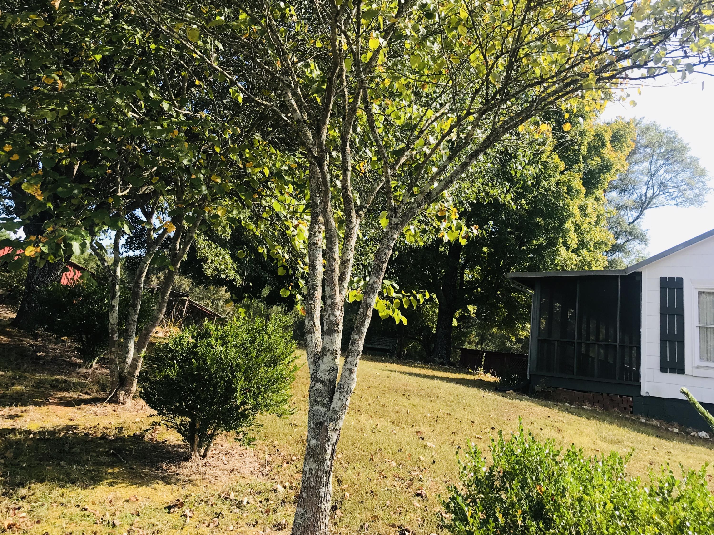 467 Oakton Road LaFayette, GA 30728 - Photo 11 of 15 388D3021-6D3B-4A61-9C15-52509CD61AC8