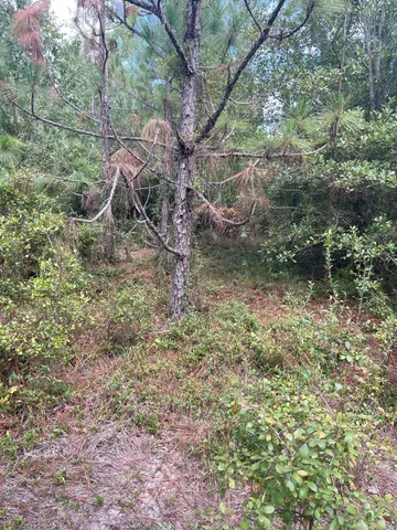 $88,900 | 9 Payne Pond Road, Unit PPF 9, Westville, SC 29175