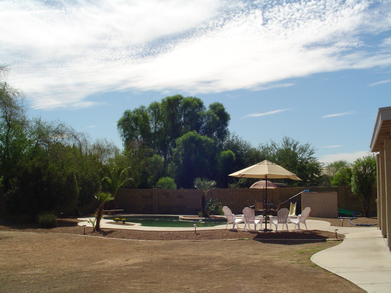 1043 North Poinciana Road Gilbert, AZ 85234 - Photo 5 of 21 Pool