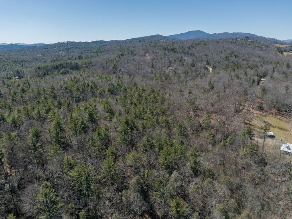 Lot 12 Ridge Line Trail, Unit 12 Independence, VA 24348 - Photo 41 of 66 Gallery Image 41